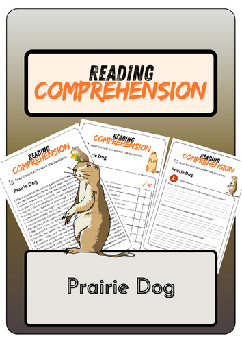 pdf, 2.52 MB