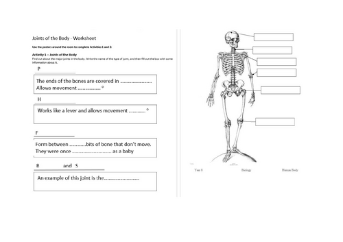 KS3 Year 7 Biology - Body Systems - Movement - Joints | Teaching Resources