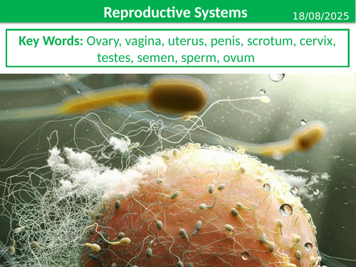 KS3 Year 7 Biology - Reproduction BUNDLE | Teaching Resources