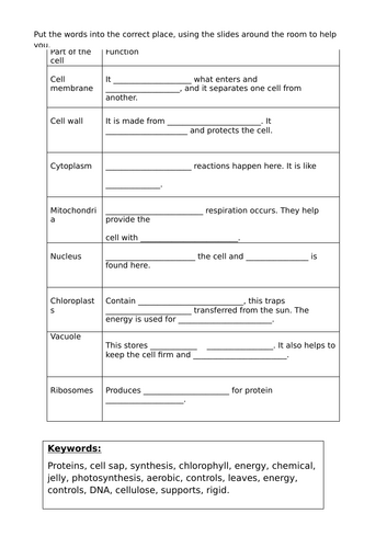 docx, 21.56 KB