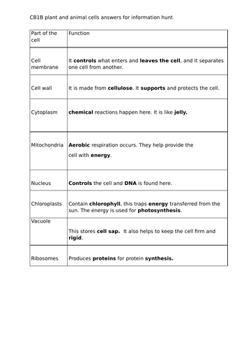 docx, 17.06 KB