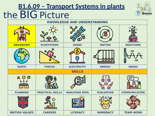KS4 Year 9 - Exchange - Transport systems in plants | Teaching Resources