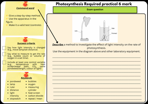 GCSE Biology Required Practical: Photosynthesis (6 Mark Question Practice)
