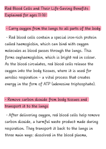 pdf, 3.45 MB