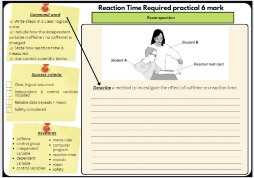 GCSE Biology Paper 2 Required Practicals Bundle (Reaction Time ...