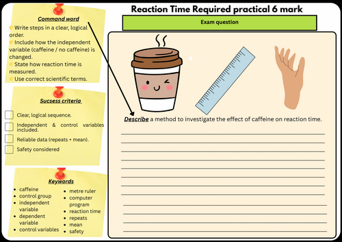 GCSE Biology Paper 2 Required Practical – Reaction Time (Caffeine & Ruler Drop ����Vlogt)