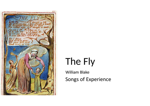 William Blake - Songs of Experience 'The Fly' | Teaching Resources