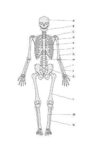docx, 236.26 KB