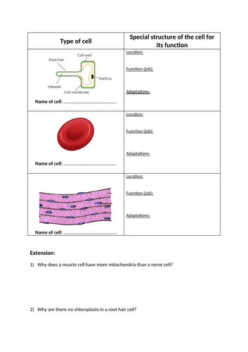 docx, 329.05 KB