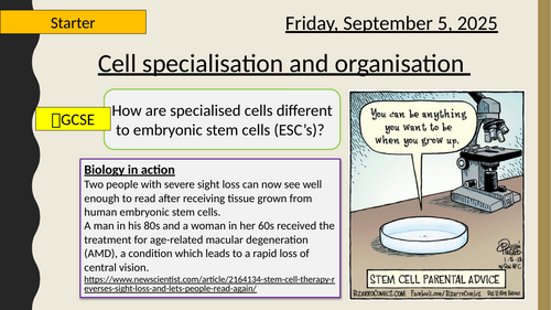 AQA A-Level New specification-3.2.1.1 Cell specialisation