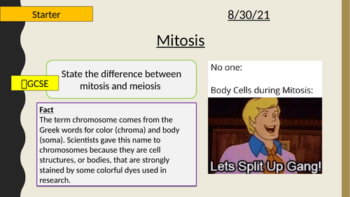 AQA A-Level New specification-3.2.2 All cells arise from other cells