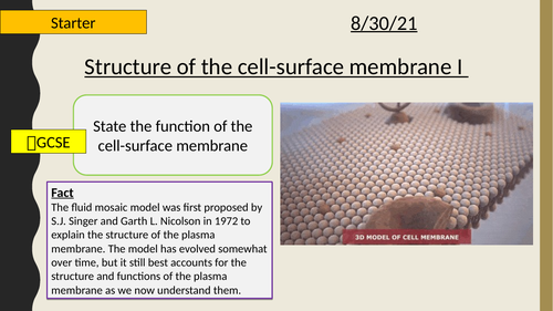 AQA A-Level New specification-3.2.3 Transport across cell membranes