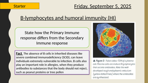 AQA A-Level New specification - 3.2.4 Cell recognition -B lymphocytes (HI) and Antibodies