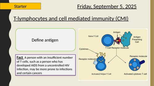AQA A-Level New specification - 3.2.4 Cell recognition -T lymphocytes (CMI)