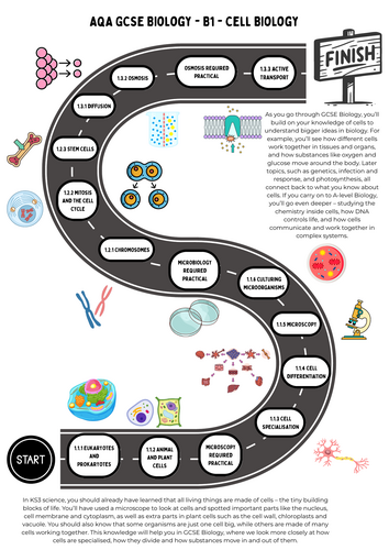 Learning Journey B1 AQA GCSE Biology | Teaching Resources