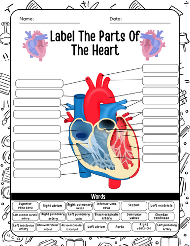 Label The Parts Of The Heart Anatomy: Labeled Diagram September ...
