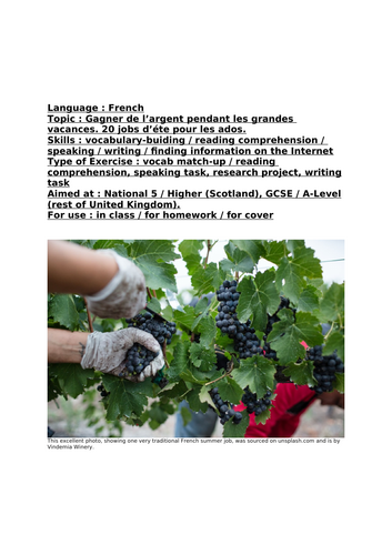 French, Lesson, Gagner de l’argent pendant  les grandes vacances. 20 jobs d’éte pour les ados.