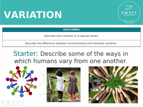 KS3 ~ Year 8 ~ Variation