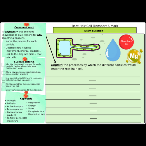 pptx, 3.24 MB