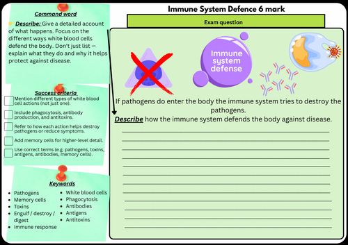 FREE Immune System Defence – 6 Mark Exam Question | Scaffolded/Differentiated