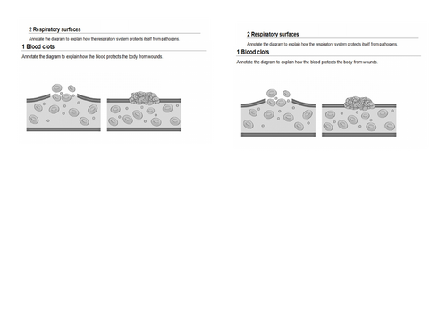 KS4 Triple Biology Unit 3 – Complete PowerPoint lesson on Human ...