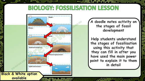 KS4 GCSE Biology / Science Fossil Lesson - Steps to Fossilization ...