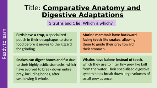 Digestive System Adaptations Across Taxa T Level Animal Management and ...