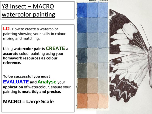 ks3 insect drawing / water colour painting | Teaching Resources