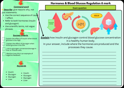 Hormones & Blood Glucose Regulation – GCSE Biology 6 Mark Exam | Scaffolded & Differentiated