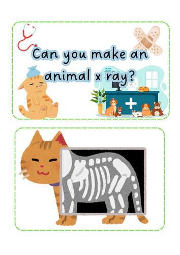 People who help us - Vets - X Rays