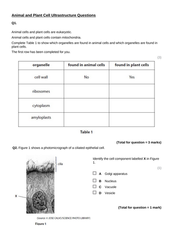 Comparing Plant and Animal Cells- AAQ Applied Science | Teaching Resources