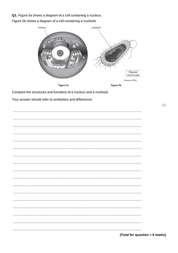 docx, 1.33 MB
