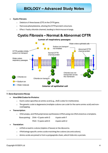 BIOA_AQA Topic Notes: 3.8.1 Alterating base sequences in DNA can alter ...