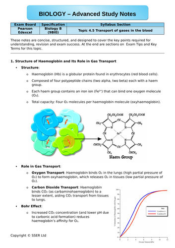 docx, 715.62 KB