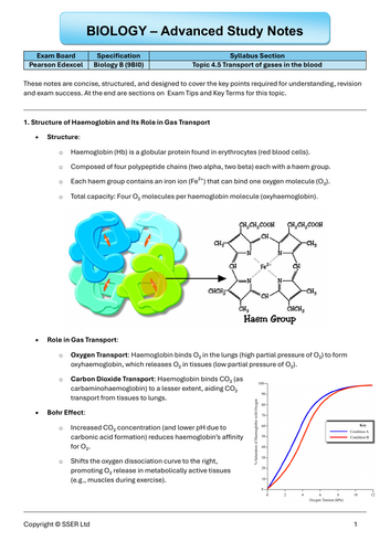 pdf, 293.78 KB