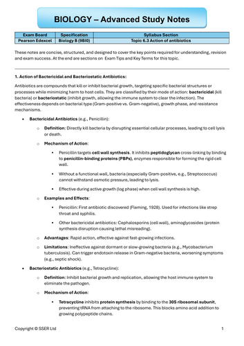 pdf, 295.38 KB
