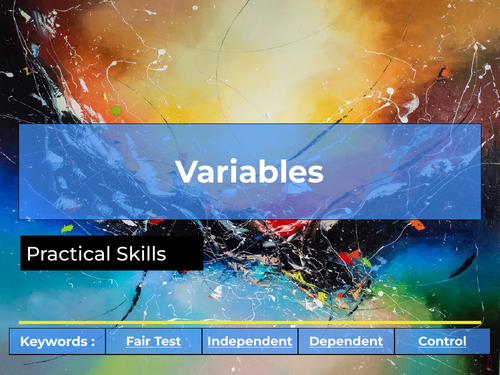 Practical Skills - Lesson 1 Variables