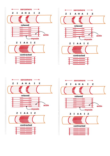 docx, 374.44 KB