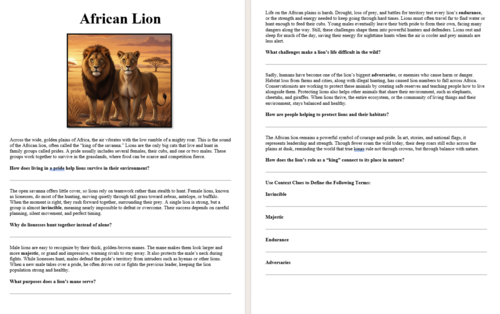 Big Cats of the World Workbook: Reading Comprehension & Vocabulary (15 ...
