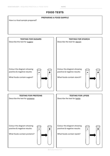 RP4 Food Tests – Worksheets (GCSE Biology) | Teaching Resources