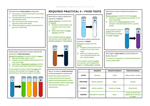 RP4 Food Tests – Splat (GCSE Biology) | Teaching Resources