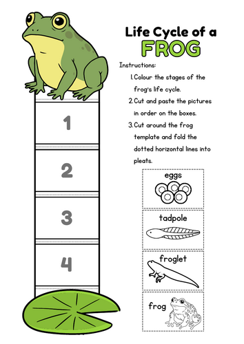 Frog Life Cycle Craft, Science Activity for KS1