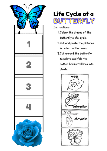 Butterfly Life Cycle Craft, Science Activity for KS1