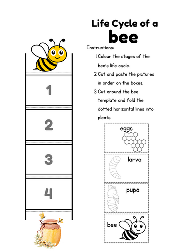 Bee Life Cycle Craft, Science Activity for KS1