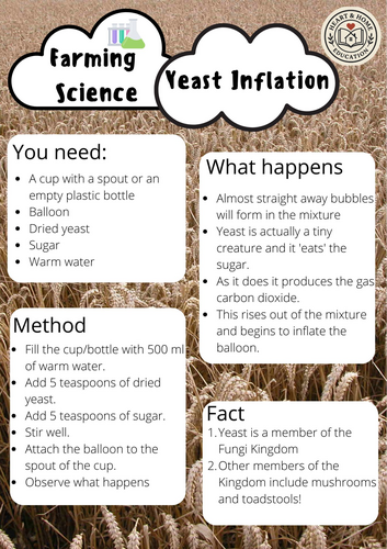 Farm Science Experiments for Kids | STEM Activities for School ...