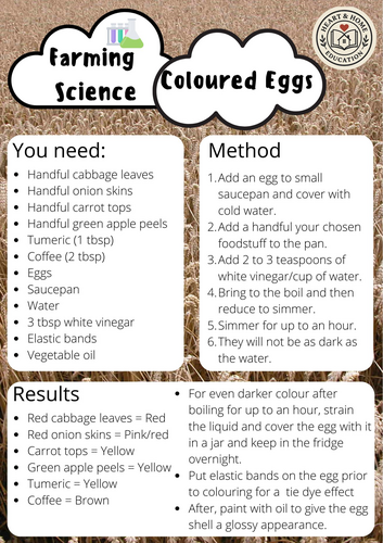 Farm Science Experiments for Kids | STEM Activities for School ...