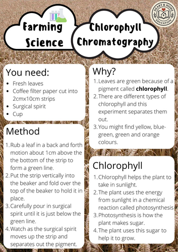 Farm Science Experiments for Kids | STEM Activities for School ...