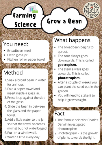 Farm Science Experiments for Kids | STEM Activities for School ...