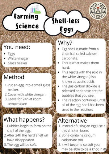 Farm Science Experiments for Kids | STEM Activities for School ...
