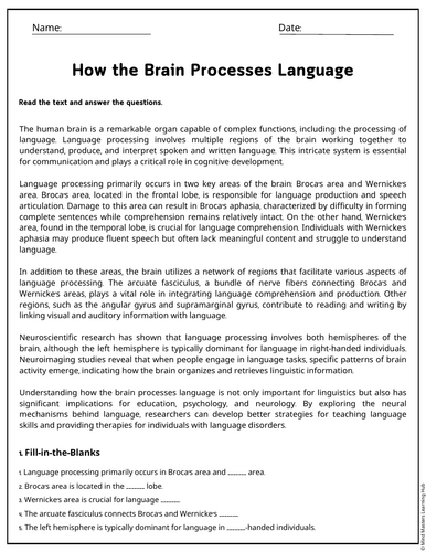 How the Brain Processes Language Reading Comprehension Passages ...